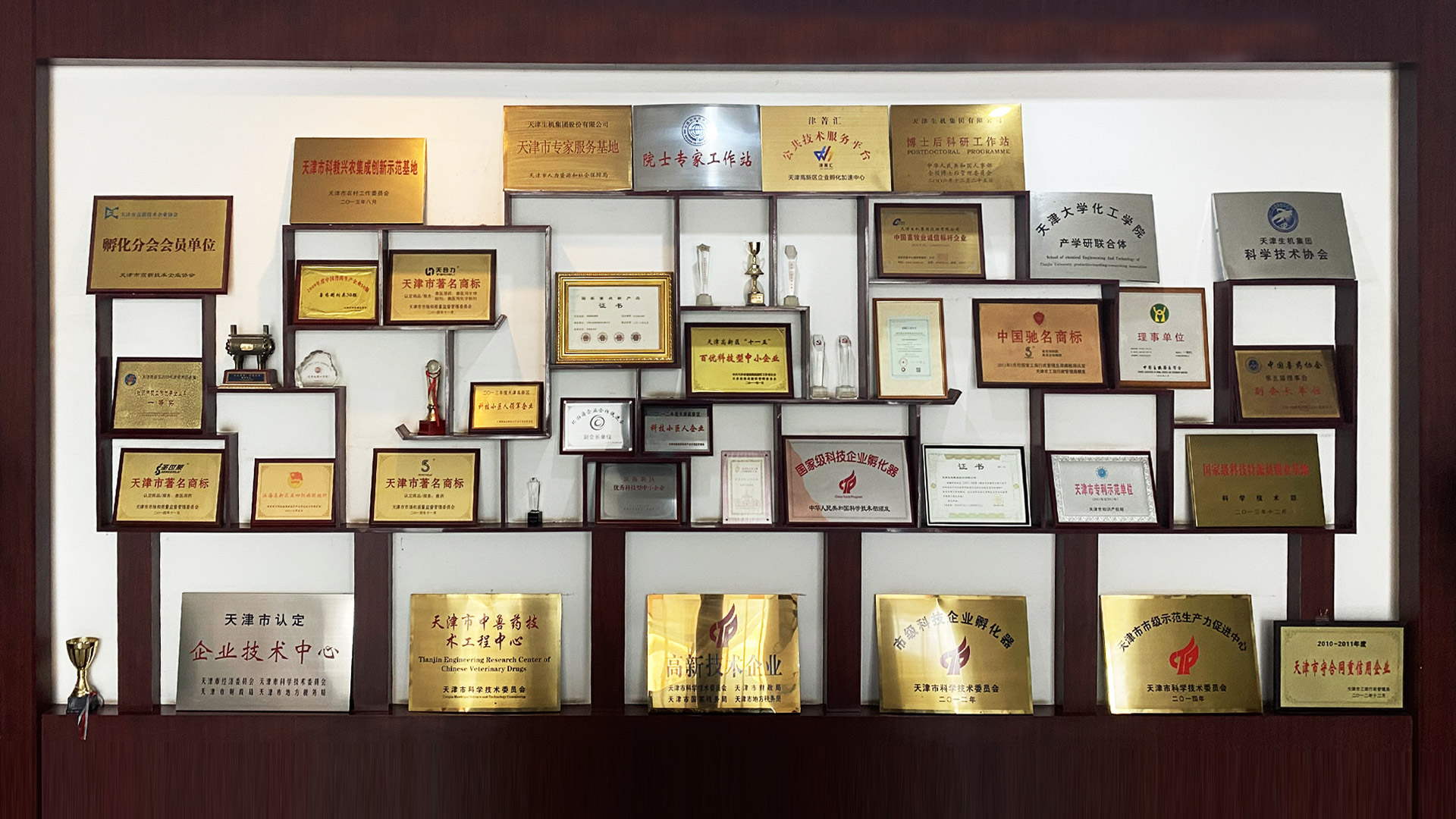 讓生機(jī)人成功快樂、讓生機(jī)集團(tuán)走向卓越是生機(jī)的使命